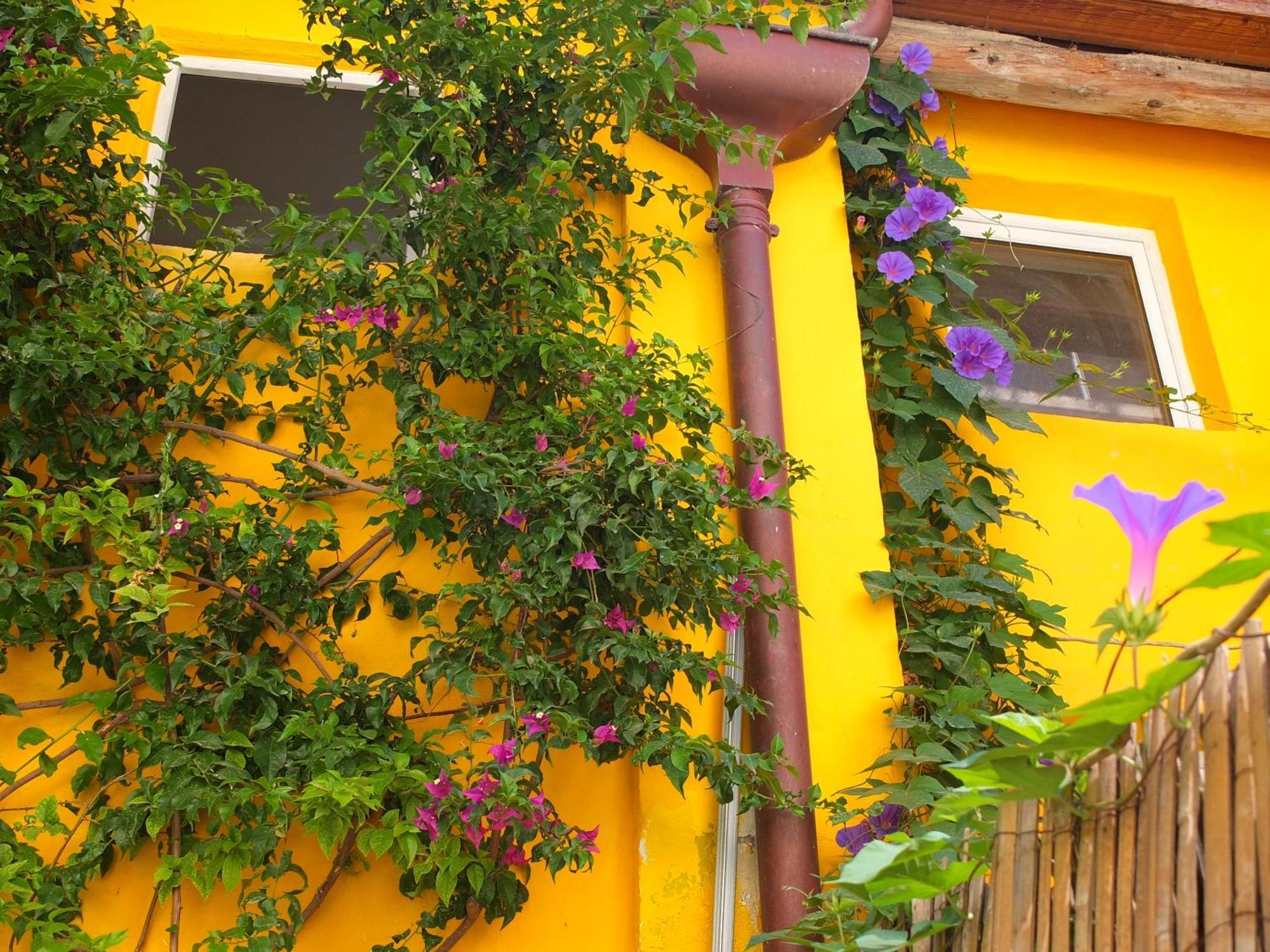 Sète La Maison Jaune חדר תמונה